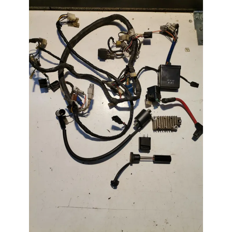 FAISCEAU ELECTRIQUE COMPLET 125 TDR 93/03