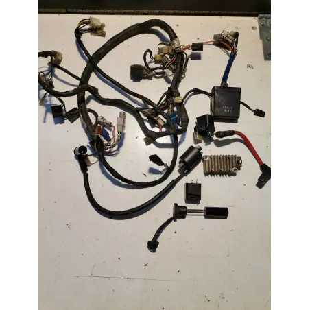 FAISCEAU ELECTRIQUE COMPLET 125 TDR 93/03