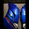 PAIRE DE FLANCS DE CARENAGES 1300 XJR 98/06