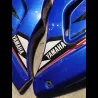 PAIRE DE FLANCS DE CARENAGES 1300 XJR 98/06