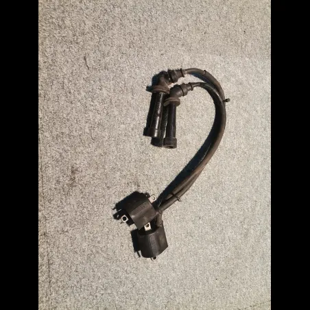 PAIRE DE BOBINES D'ALLUMAGE 650 SV DE 2005