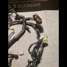 FAISCEAU ELECTRIQUE R1 07/08