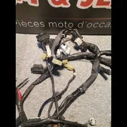 FAISCEAU ELECTRIQUE R1 07/08