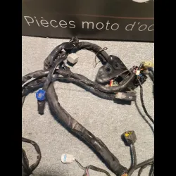 FAISCEAU ELECTRIQUE R1 07/08