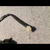 COMMODO GAUCHE R1 07/08
