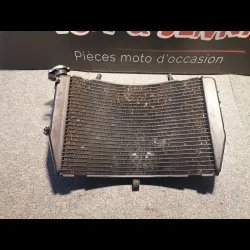 RADIATEUR D'EAU R1 07/08