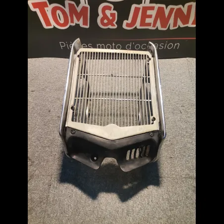 GRILLE RADIATEUR 125 RED ROSE 89/91