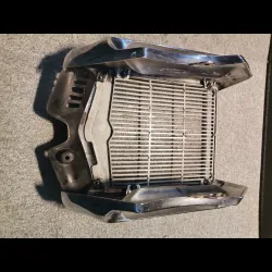 GRILLE RADIATEUR 125 RED ROSE 89/91