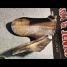 LECHE ROUE 600 BANDIT 95/99
