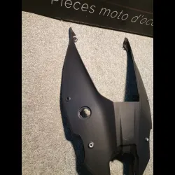 PLASTIQUE PANIGALE V4 20/21