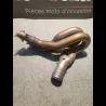 COLLECTEUR D'ECHAPPEMENT (NEUF) 1100 PANIGALE V4 18/19