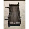 RADIATEUR D'EAU DL 1000 VSTROM 02/06