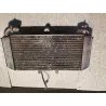 RADIATEUR D'EAU 600 FAZER 98/02