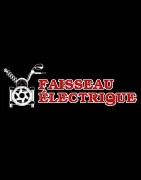 Faisceau électrique