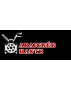 Araignée