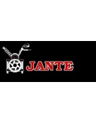 Jante